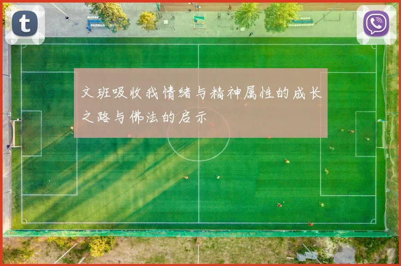 文班吸收我情绪与精神属性的成长之路与佛法的启示