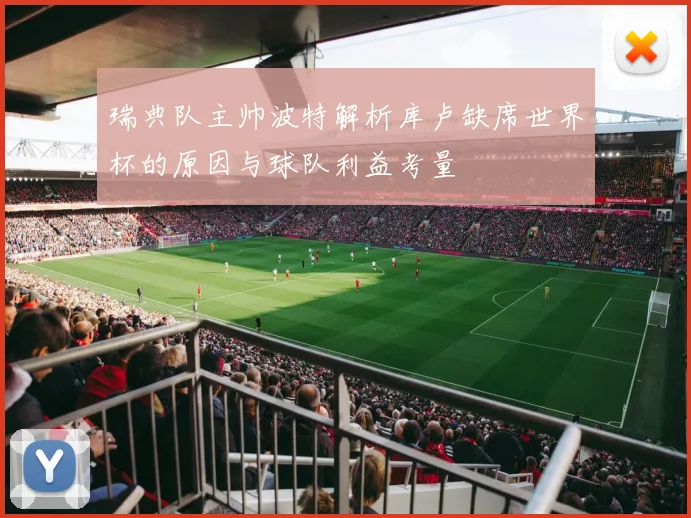 瑞典队主帅波特解析库卢缺席世界杯的原因与球队利益考量